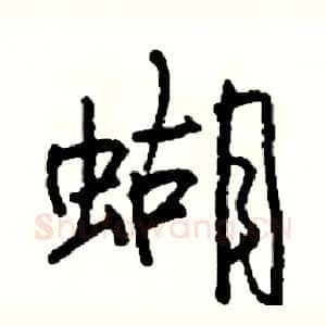 蝴