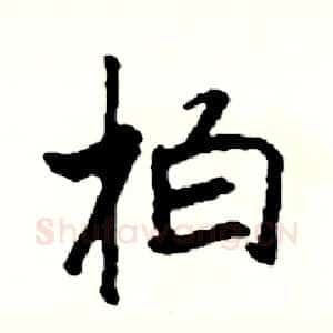 柏