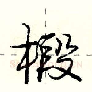 椴