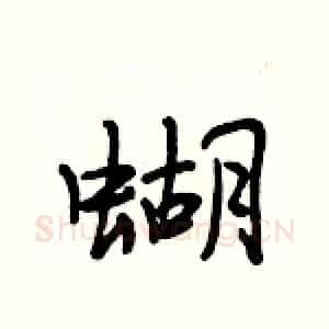蝴