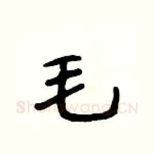 毛