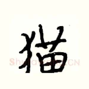 猫