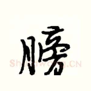 膀