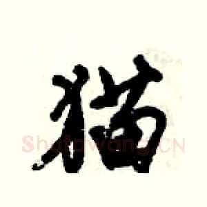 猫
