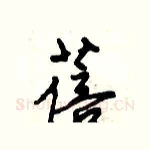 蓓