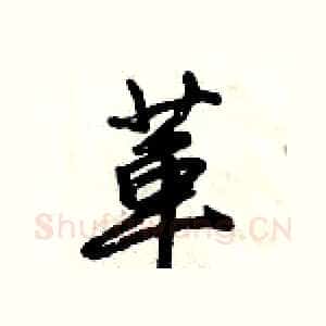 革