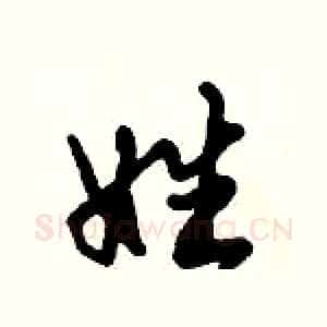 姓