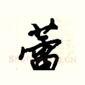 蕾