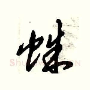 蛛