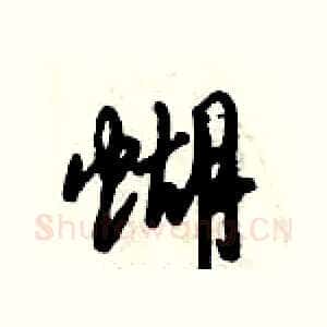 蝴