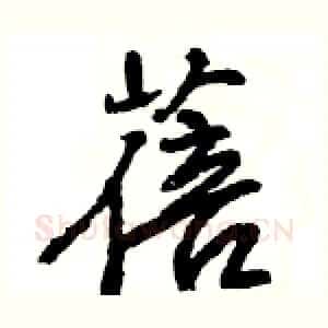 蓓