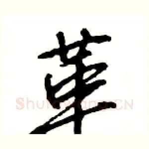 革