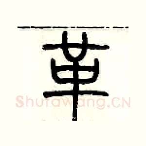 革