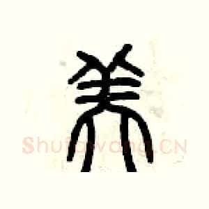 美