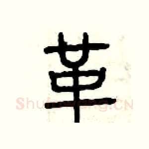 革