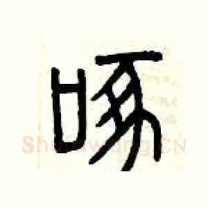 啄
