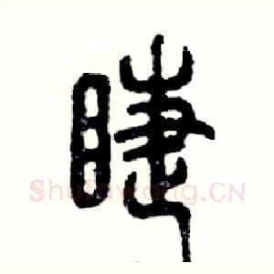 睫
