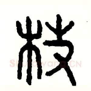 枝