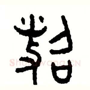 照